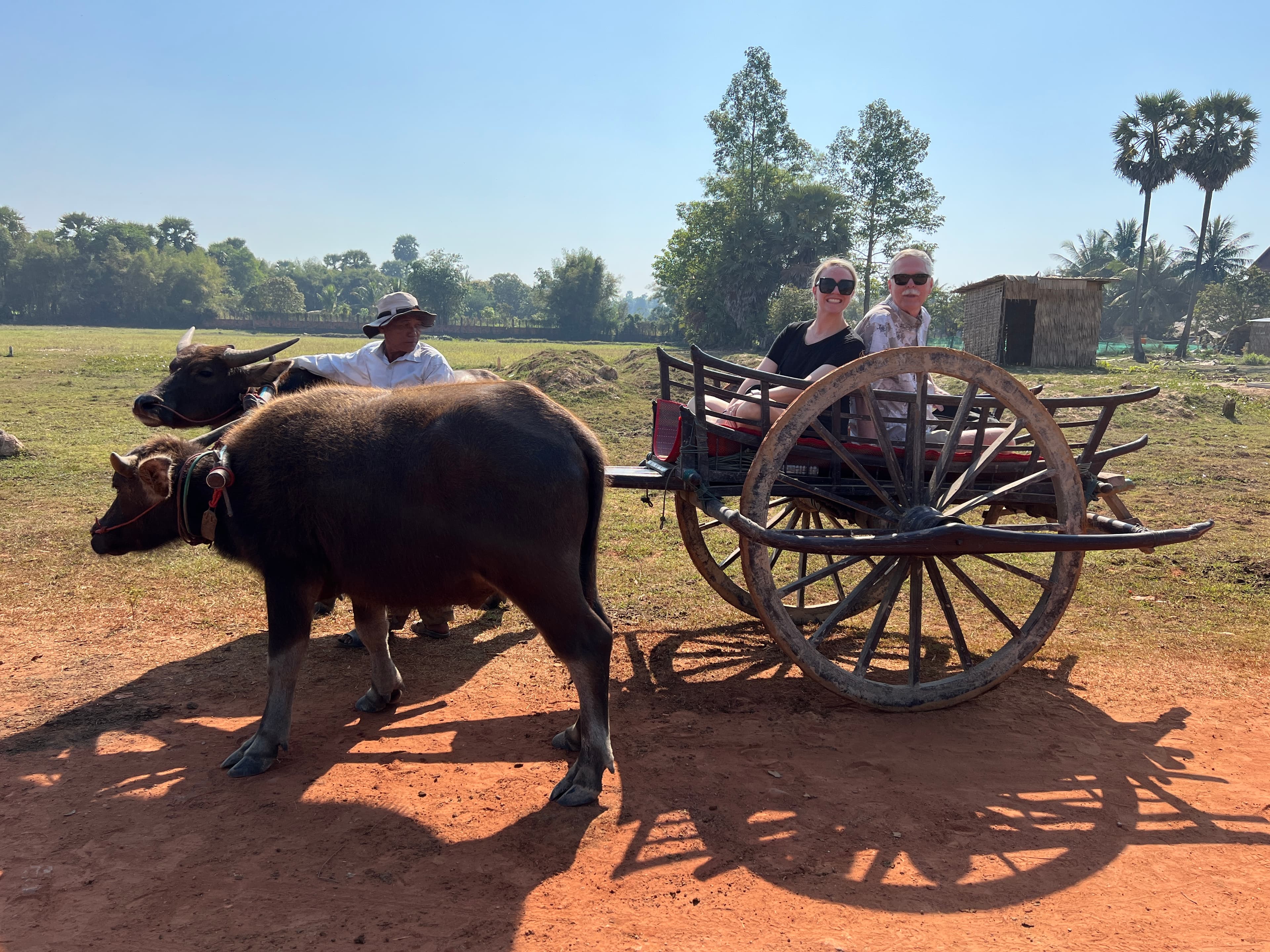 How Do You Want to Travel?