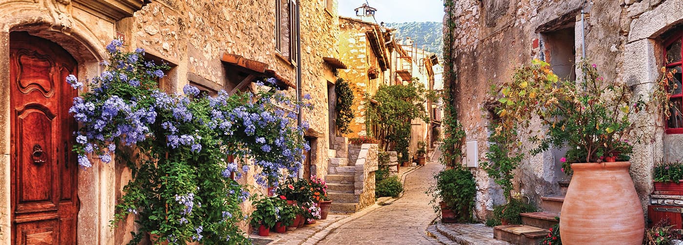 Burgundy and Provence River Cruise