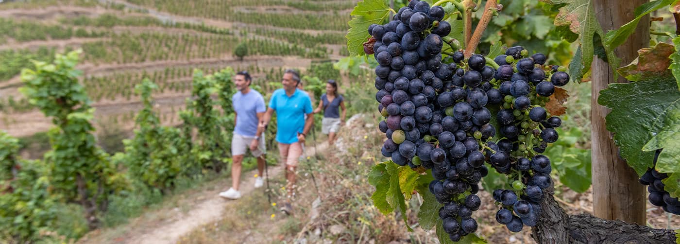 Burgundy and Provence River Cruise