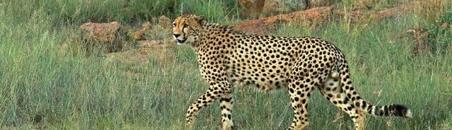 South Africa, Botswana and Victoria Falls (Group 1)